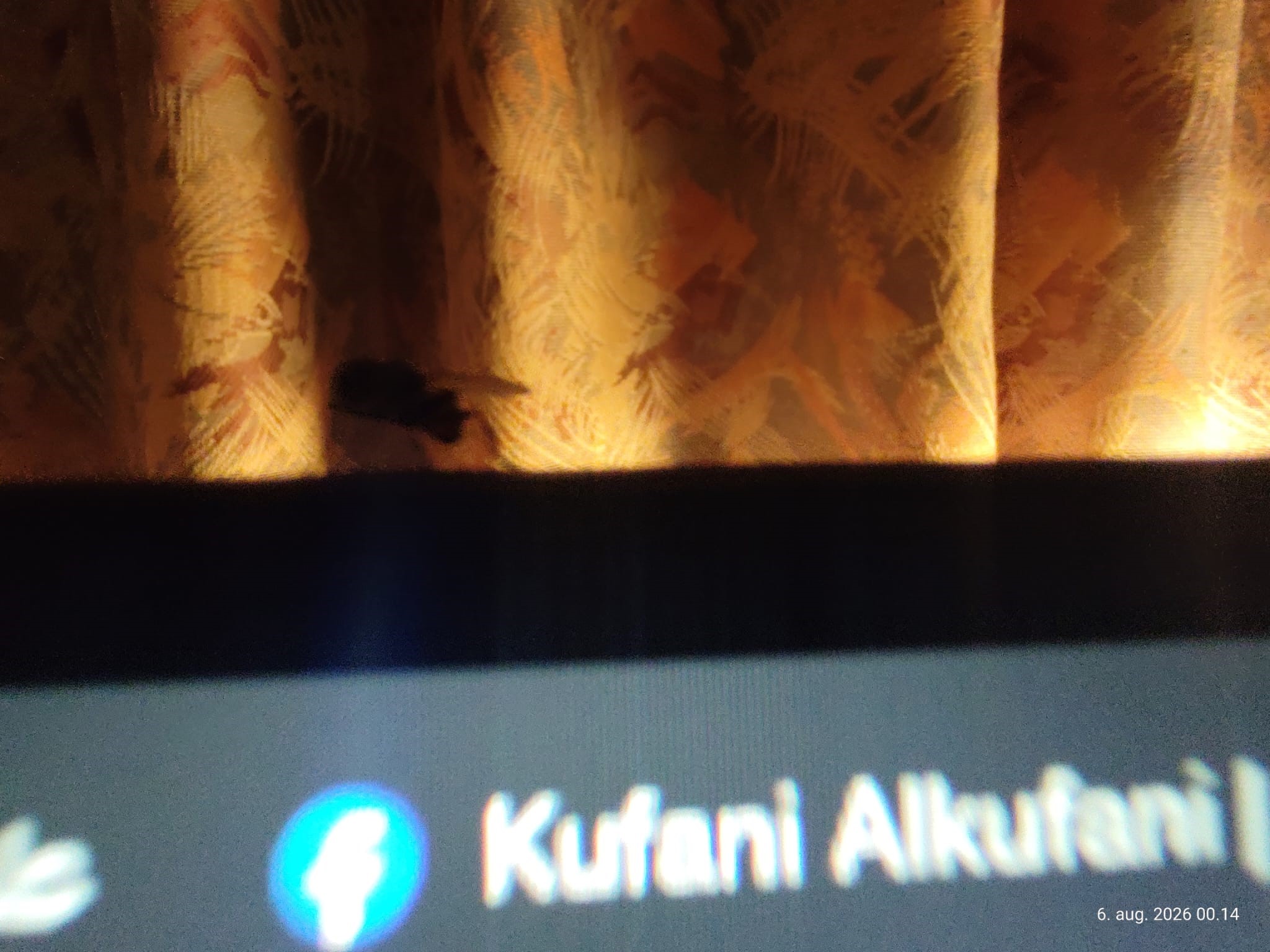 ذبابة تقف قرب اسم Kufani على شاشة.